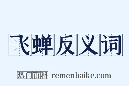 飞蝉反义词是什么意思的图片